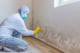 Best Residential Mold Inspection & Testing  in Everett, WA